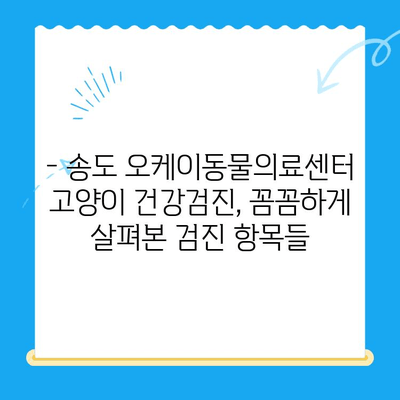 송도 오케이동물의료센터 고양이 건강검진 후기| 상세 경험담 & 검진 항목 | 송도, 고양이 건강검진, 동물병원 추천