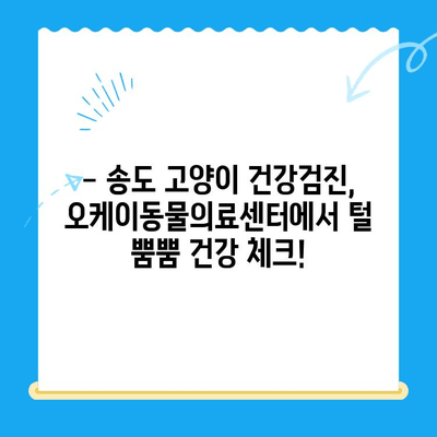 송도 오케이동물의료센터 고양이 건강검진 후기| 상세 경험담 & 검진 항목 | 송도, 고양이 건강검진, 동물병원 추천