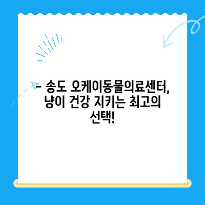 송도 오케이동물의료센터 고양이 건강검진 후기| 상세 경험담 & 검진 항목 | 송도, 고양이 건강검진, 동물병원 추천