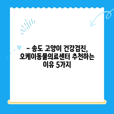 송도 오케이동물의료센터 고양이 건강검진 후기| 상세 경험담 & 검진 항목 | 송도, 고양이 건강검진, 동물병원 추천
