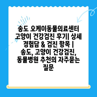 송도 오케이동물의료센터 고양이 건강검진 후기| 상세 경험담 & 검진 항목 | 송도, 고양이 건강검진, 동물병원 추천