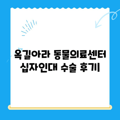 옥길아라 동물의료센터 십자인대 수술 후기| 반려동물의 회복 이야기 | 십자인대 파열, 수술 경험 공유, 재활 팁