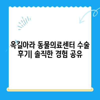 옥길아라 동물의료센터 십자인대 수술 후기| 반려동물의 회복 이야기 | 십자인대 파열, 수술 경험 공유, 재활 팁