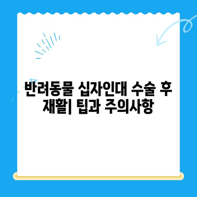 옥길아라 동물의료센터 십자인대 수술 후기| 반려동물의 회복 이야기 | 십자인대 파열, 수술 경험 공유, 재활 팁