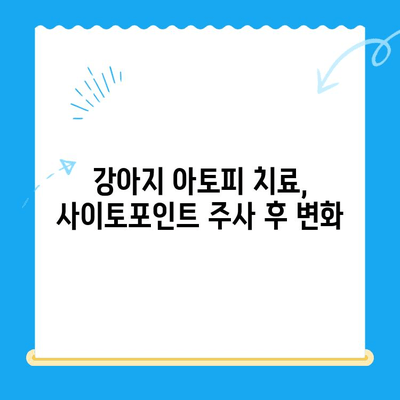 강아지 아토피 피부염 치료, F.24시 동물병원 사이토포인트 주사 경험담 | 아토피 치료, 강아지 피부병, 사이토포인트