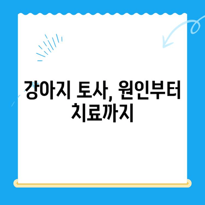 강아지 토사 원인 파악부터 MRI 치료까지 | 24시간 동물병원에서 해결하세요