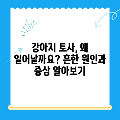 강아지 토사 원인 파악부터 MRI 치료까지 | 24시간 동물병원에서 해결하세요