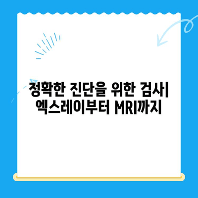강아지 토사 원인 파악부터 MRI 치료까지 | 24시간 동물병원에서 해결하세요