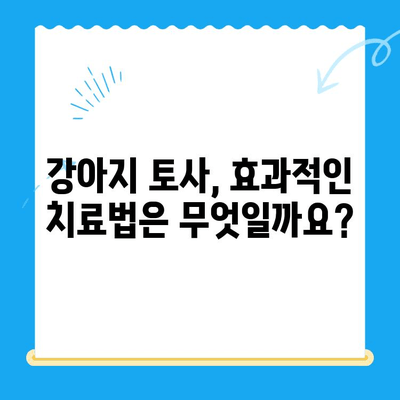 강아지 토사 원인 파악부터 MRI 치료까지 | 24시간 동물병원에서 해결하세요