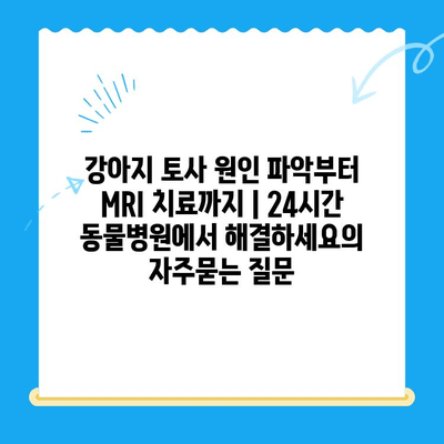 강아지 토사 원인 파악부터 MRI 치료까지 | 24시간 동물병원에서 해결하세요