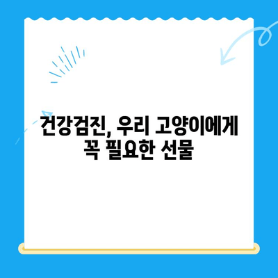 고양이 건강 지키는 필수 코스! 24시 폴 동물병원 건강 검진의 중요성 | 고양이 건강, 건강검진, 24시 동물병원, 폴 동물병원