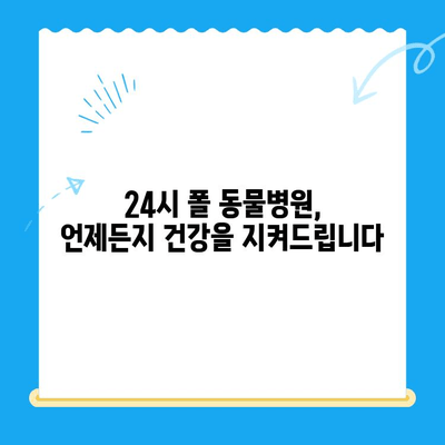 고양이 건강 지키는 필수 코스! 24시 폴 동물병원 건강 검진의 중요성 | 고양이 건강, 건강검진, 24시 동물병원, 폴 동물병원