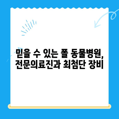 고양이 건강 지키는 필수 코스! 24시 폴 동물병원 건강 검진의 중요성 | 고양이 건강, 건강검진, 24시 동물병원, 폴 동물병원