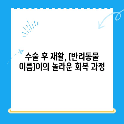 슬개골탈구 수술, 24시 수동물병원의 성공적인 케이스 | 반려동물, 슬개골, 수술 후기, 재활