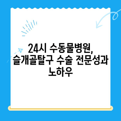 슬개골탈구 수술, 24시 수동물병원의 성공적인 케이스 | 반려동물, 슬개골, 수술 후기, 재활