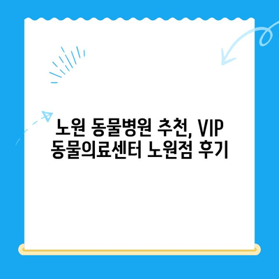 노원 VIP 동물의료센터 노원점 강아지 건강검진 후기| 꼼꼼하고 친절한 검진 경험 | 강아지 건강, 동물병원 추천, 건강검진 후기