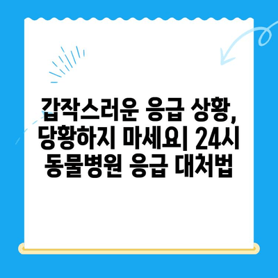고양이 건강 체크 가이드| 24시 동물병원 검진 | 고양이 건강, 건강검진, 동물병원, 24시 응급