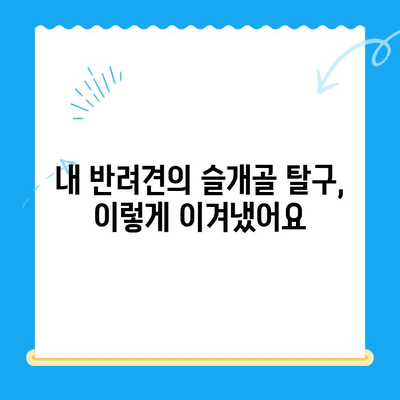 슬개골탈구 수술 후기| 수동물병원 리뷰 & 나의 경험 | 반려견, 슬개골탈구, 수술 후 관리, 병원 추천