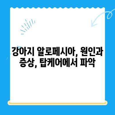 일산 탑케어에서 강아지 알로페시아 피부 검사 & 진단| 상세 가이드 | 알로페시아, 피부 질환, 강아지 건강