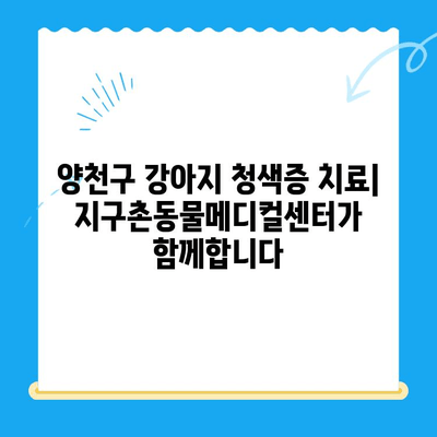 양천구 강아지 청색증 치료| 24시 지구촌동물메디컬센터 | 응급 상황, 전문 치료, 24시간 진료