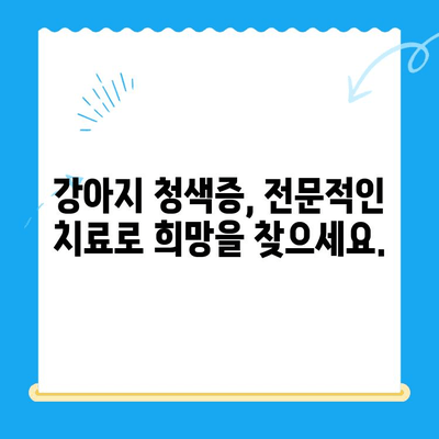 양천구 강아지 청색증 치료| 24시 지구촌동물메디컬센터 | 응급 상황, 전문 치료, 24시간 진료