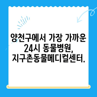 양천구 강아지 청색증 치료| 24시 지구촌동물메디컬센터 | 응급 상황, 전문 치료, 24시간 진료