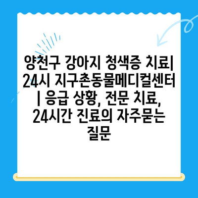 양천구 강아지 청색증 치료| 24시 지구촌동물메디컬센터 | 응급 상황, 전문 치료, 24시간 진료