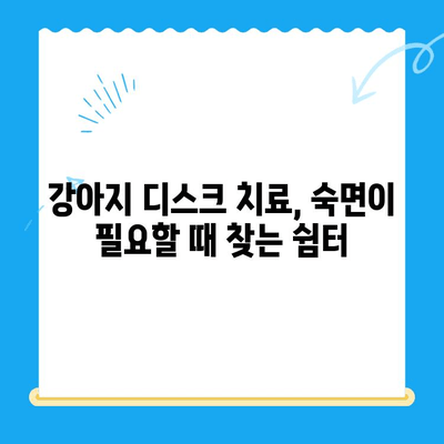 대구 24시 강아지 디스크 동물병원 근처 추천 게스트하우스 | 편안한 휴식, 숙면 보장! 🐶🐾