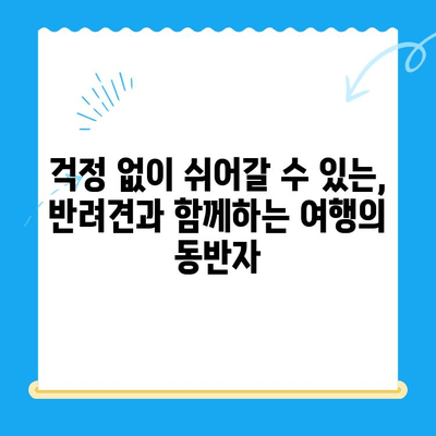 대구 24시 강아지 디스크 동물병원 근처 추천 게스트하우스 | 편안한 휴식, 숙면 보장! 🐶🐾