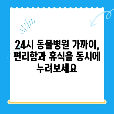 대구 24시 강아지 디스크 동물병원 근처 추천 게스트하우스 | 편안한 휴식, 숙면 보장! 🐶🐾