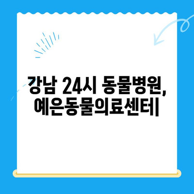 강남 24시 동물병원, 예은동물의료센터| 믿음직한 24시간 진료 | 응급, 야간 진료, 동물병원 추천, 강남