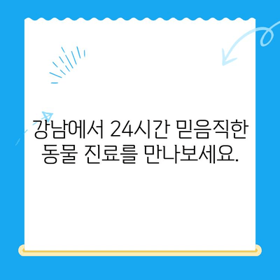 강남 24시 동물병원, 예은동물의료센터| 믿음직한 24시간 진료 | 응급, 야간 진료, 동물병원 추천, 강남