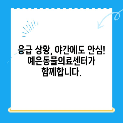 강남 24시 동물병원, 예은동물의료센터| 믿음직한 24시간 진료 | 응급, 야간 진료, 동물병원 추천, 강남