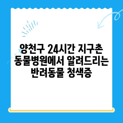 양천구 24시간 지구촌 동물병원| 반려동물 청색증 검진과 수술 안내 | 청색증 증상, 진단, 치료, 비용