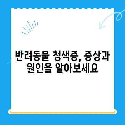 양천구 24시간 지구촌 동물병원| 반려동물 청색증 검진과 수술 안내 | 청색증 증상, 진단, 치료, 비용