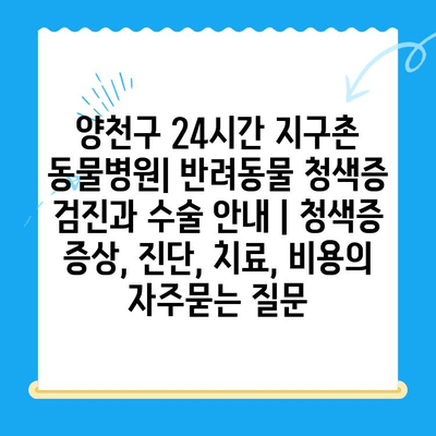 양천구 24시간 지구촌 동물병원| 반려동물 청색증 검진과 수술 안내 | 청색증 증상, 진단, 치료, 비용