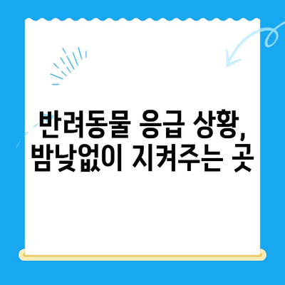 24시간 응급 상황! 🐶🐱 반려동물을 위한 전국 24시 동물병원 안내 | 응급 진료, 야간 진료, 동물 병원 찾기