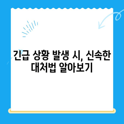 24시간 응급 상황! 🐶🐱 반려동물을 위한 전국 24시 동물병원 안내 | 응급 진료, 야간 진료, 동물 병원 찾기