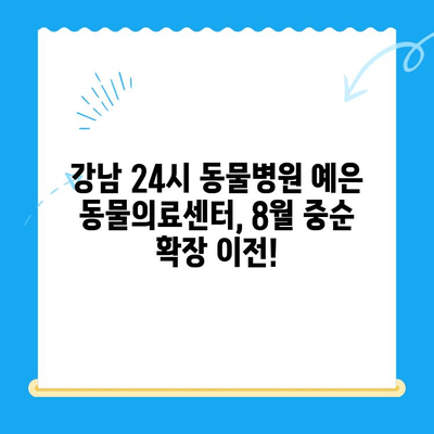 강남 24시 동물병원 "예은 동물의료센터" | 8월 중순 확장 이전, 최고의 의료진과 CT 장비로 당신의 반려동물을 안전하게!