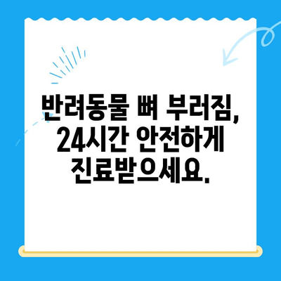 24시간 동물병원, 뼈 부러짐 진단 & 치료| 빠르고 안전하게 | 응급, 동물병원, 골절, 진료, 치료