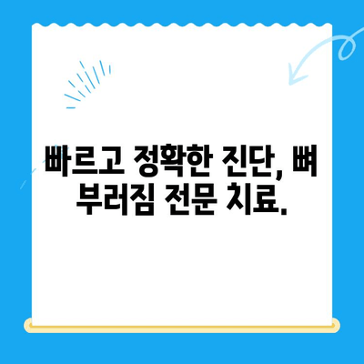 24시간 동물병원, 뼈 부러짐 진단 & 치료| 빠르고 안전하게 | 응급, 동물병원, 골절, 진료, 치료