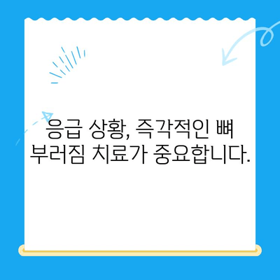 24시간 동물병원, 뼈 부러짐 진단 & 치료| 빠르고 안전하게 | 응급, 동물병원, 골절, 진료, 치료