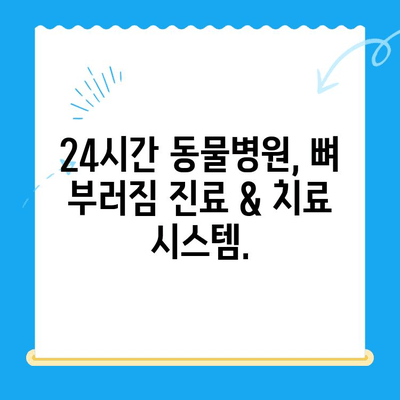 24시간 동물병원, 뼈 부러짐 진단 & 치료| 빠르고 안전하게 | 응급, 동물병원, 골절, 진료, 치료
