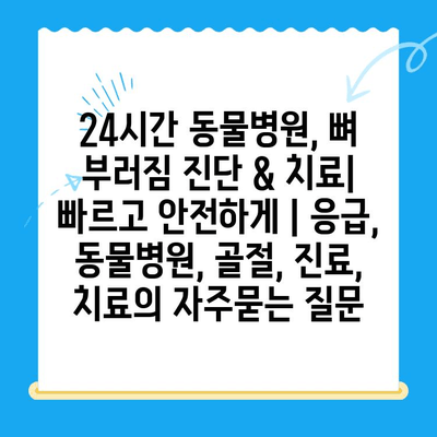 24시간 동물병원, 뼈 부러짐 진단 & 치료| 빠르고 안전하게 | 응급, 동물병원, 골절, 진료, 치료