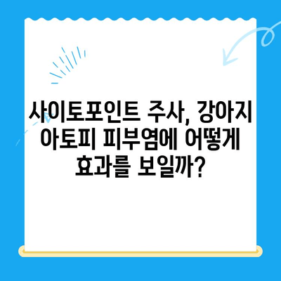 강아지 아토피 피부염 치료, 사이토포인트 주사 효과는? | 아토피, 피부염, 사이토포인트, 효과, 치료, 평가