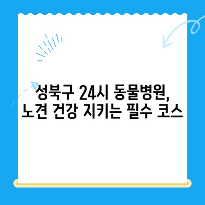 성북구 24시 동물병원 노견 면역력 혈액검사 후기| 🐶 우리 댕댕이 건강 지키기 | 노견 건강, 혈액검사, 면역력, 동물병원 후기