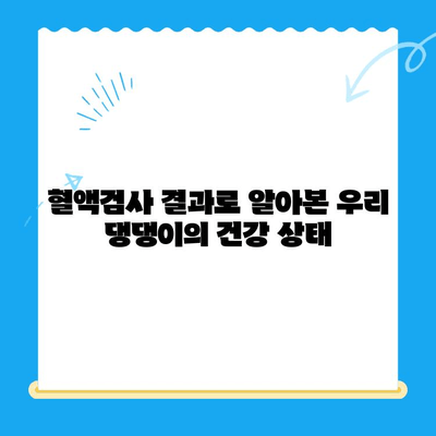 성북구 24시 동물병원 노견 면역력 혈액검사 후기| 🐶 우리 댕댕이 건강 지키기 | 노견 건강, 혈액검사, 면역력, 동물병원 후기