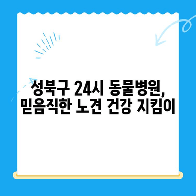 성북구 24시 동물병원 노견 면역력 혈액검사 후기| 🐶 우리 댕댕이 건강 지키기 | 노견 건강, 혈액검사, 면역력, 동물병원 후기