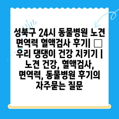 성북구 24시 동물병원 노견 면역력 혈액검사 후기| 🐶 우리 댕댕이 건강 지키기 | 노견 건강, 혈액검사, 면역력, 동물병원 후기