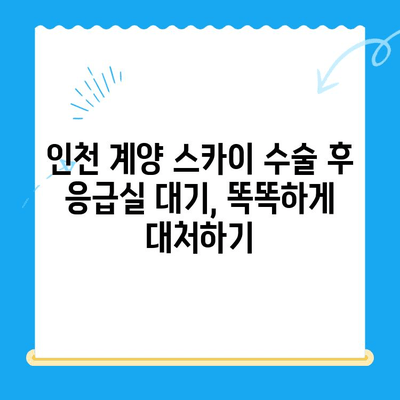 인천 계양 스카이 수술 후 응급실 대기 시간| 평균 대기 시간 & 줄이는 팁 | 인천, 계양, 응급실, 대기 시간, 수술 후 관리